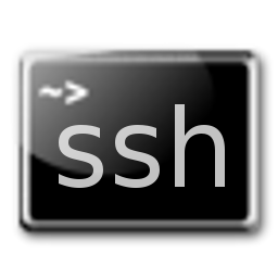Bitvise SSH Client скачать